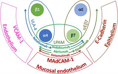 The Emerging Jamboree of Transformative Therapies for Autoimmune Diseases